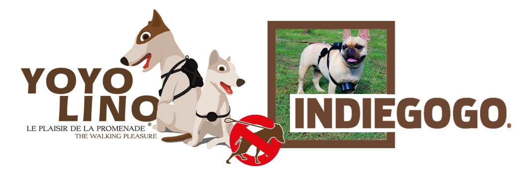 Yoyolino : un harnais anti traction et sans douleur pour les chiens de toutes tailles