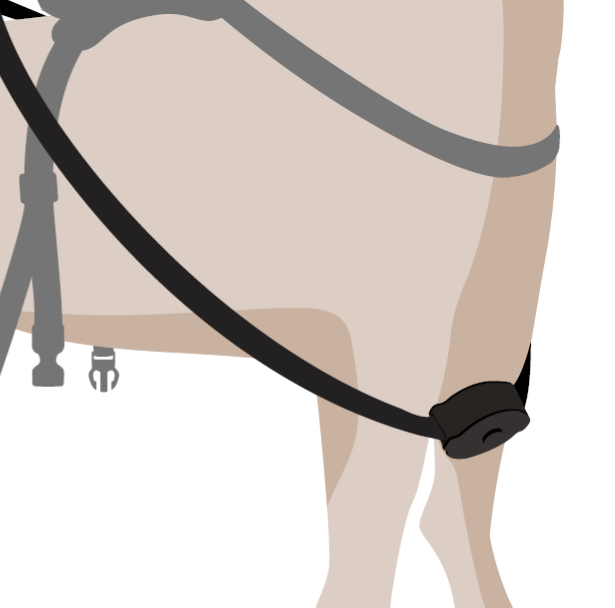 The Yoyolino SP's back strap is attached last